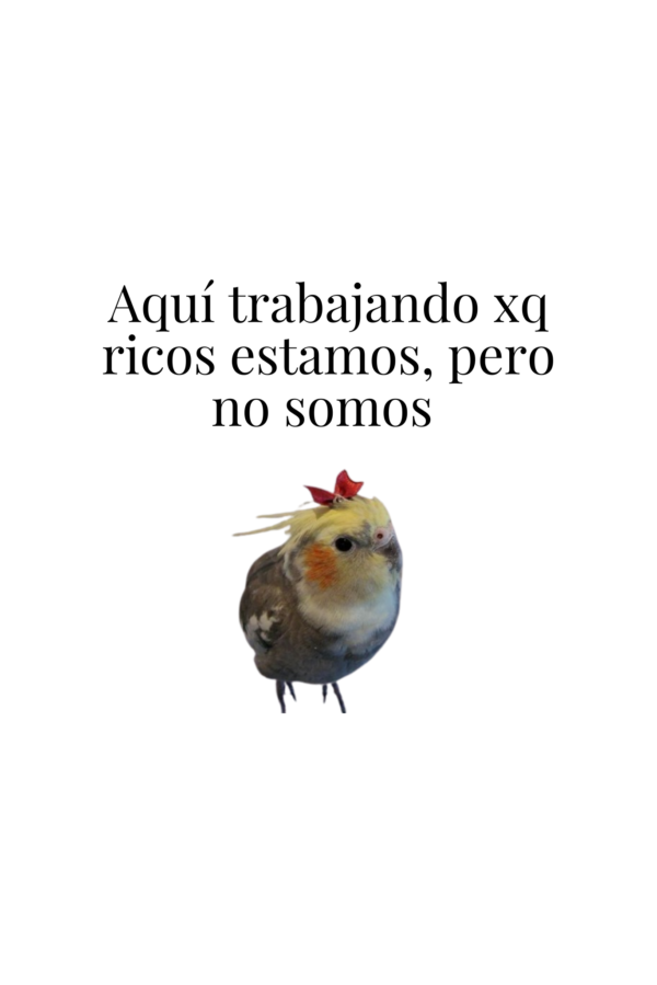 Bolsa de Tela, Tote Bag: Aquí trabajando xp ricos estamos, pero no somos