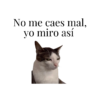 Bolsa de Tela, Tote Bag: No me caes mal, yo miro así