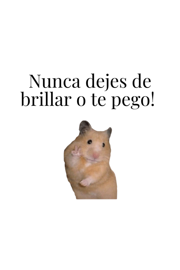 Sudadera Hombre con Capucha | Nunca dejes de brillar o te pego!