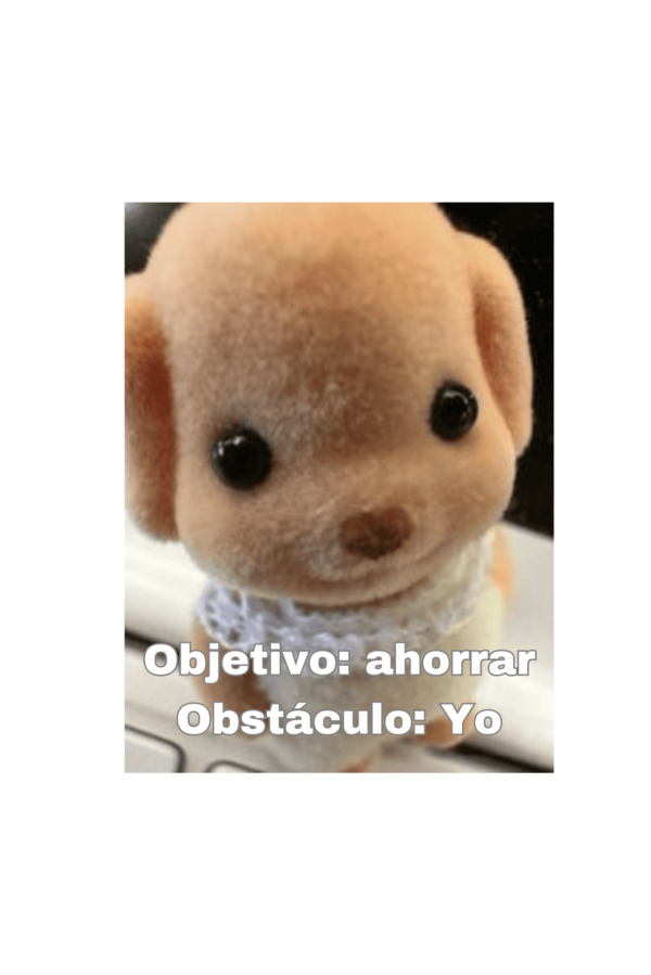 Bolsa de Tela, Tote Bag: Objetivo Ahorrar, Obstáculo yo