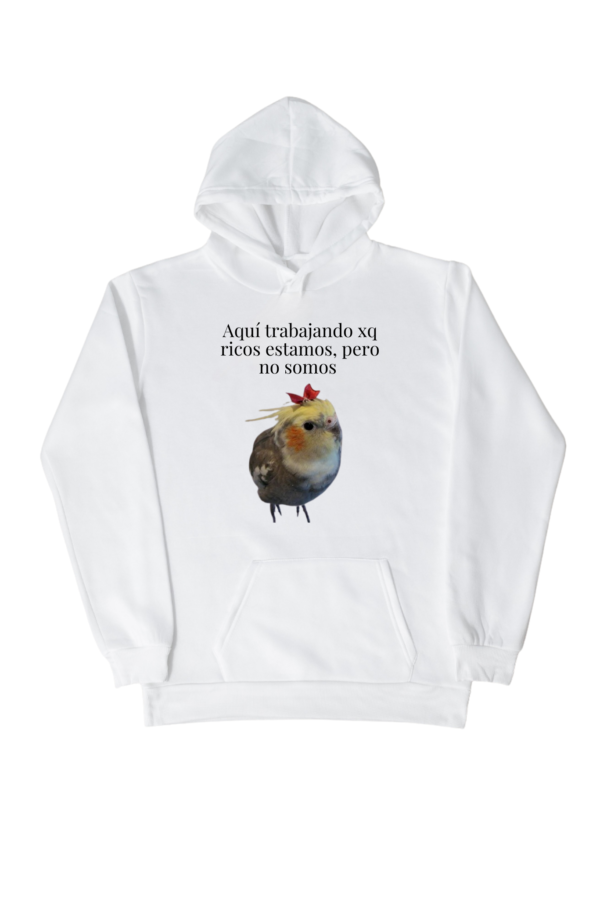 Sudadera con Capucha Mujer | Aquí trabajando xp ricos estamos, pero no somos